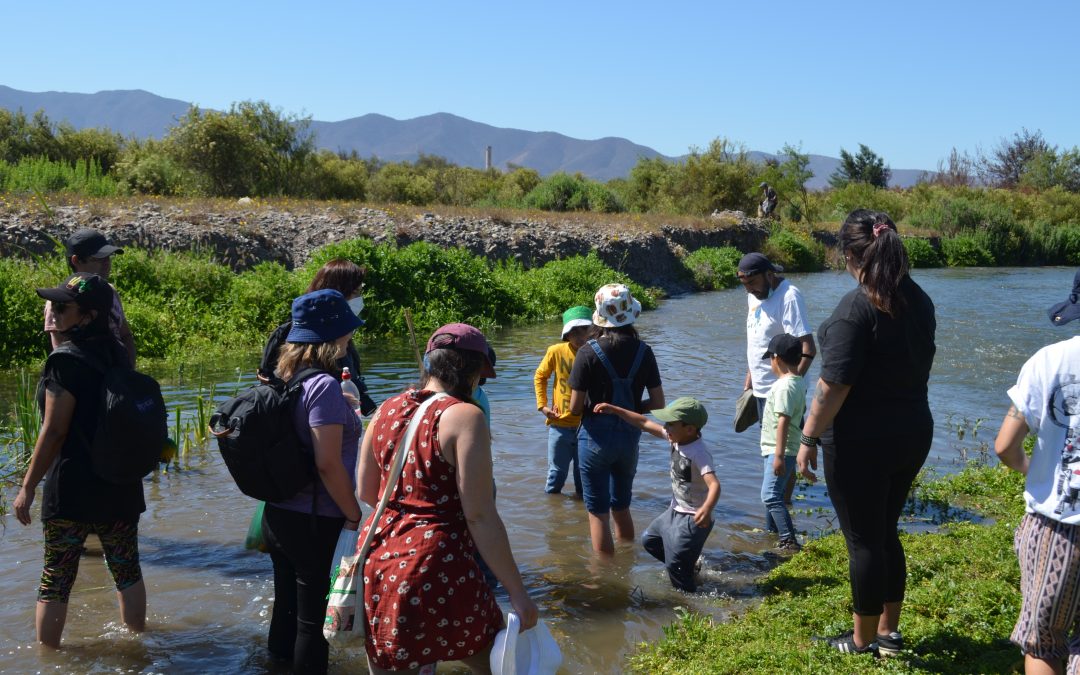 3 días de Feria en Mantagua